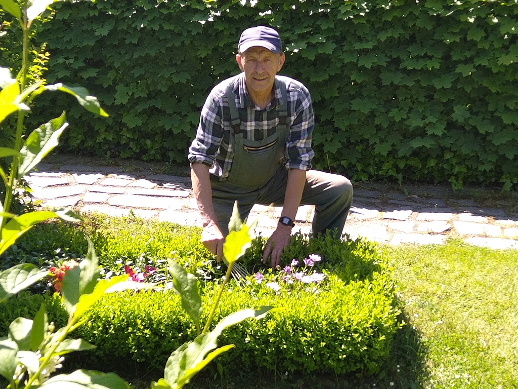 Bild "Grabpflege" - Gärtner bepflanzt Grab 