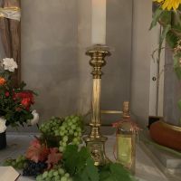 cfc98b972f4e7 krebes weintraube und gekeltert