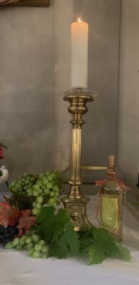 cfc98b972f4e7 krebes weintraube und gekeltert