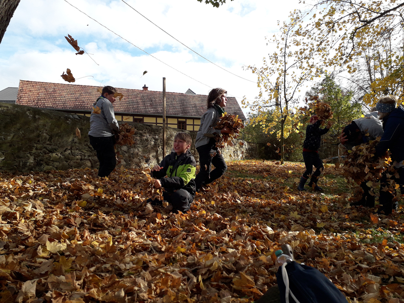 2025 10 25 Pfadfinder 03 800x600