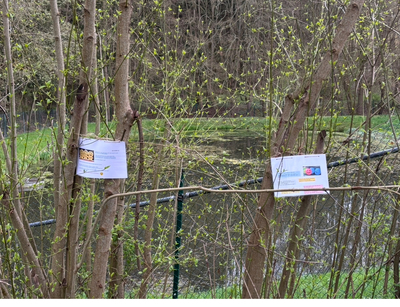 Osterrückblick 2025 - Osterweg